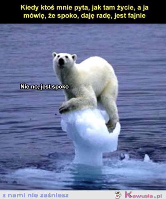 Kiedy ktoś pyta jak tam moje życie