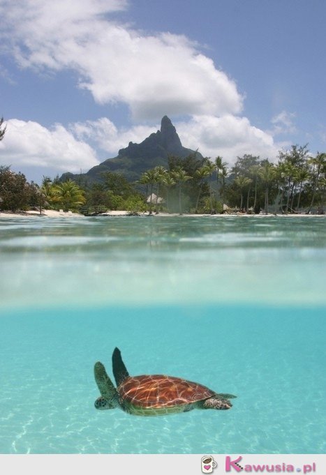 Bora bora - cudownie