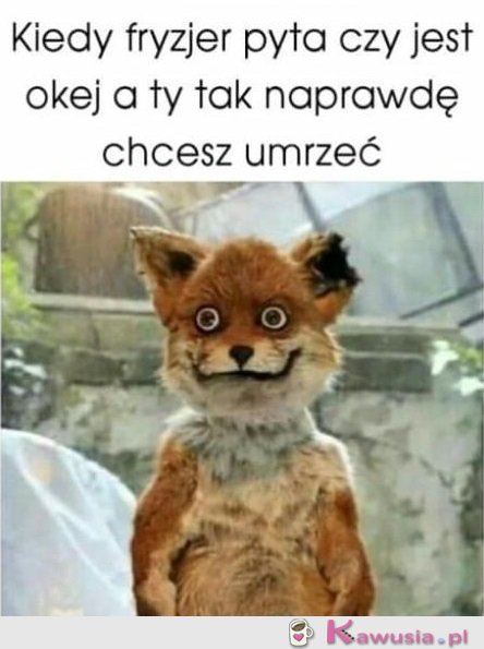 Niech mnie ktoś zabije...