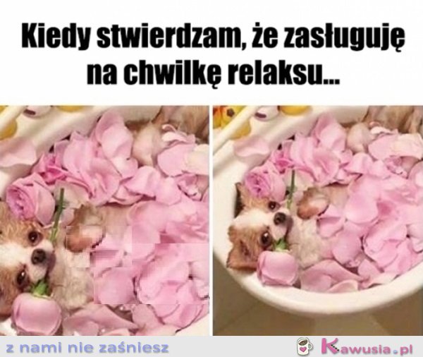 Się należy, a co...