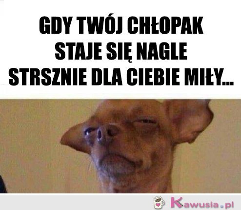 Ciekawe co chce...