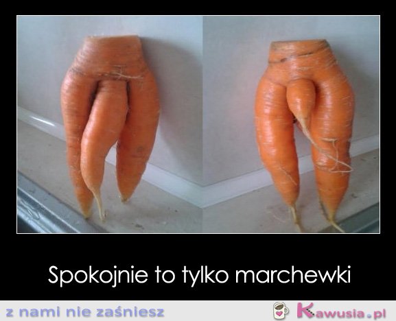 Spokojnie to tylko marchewki