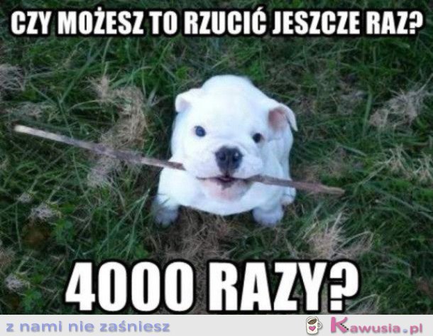 MOŻESZ MI RZUCIĆ