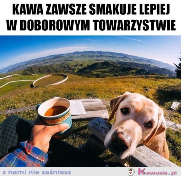 DOBOROWE TOWARZYSTWO