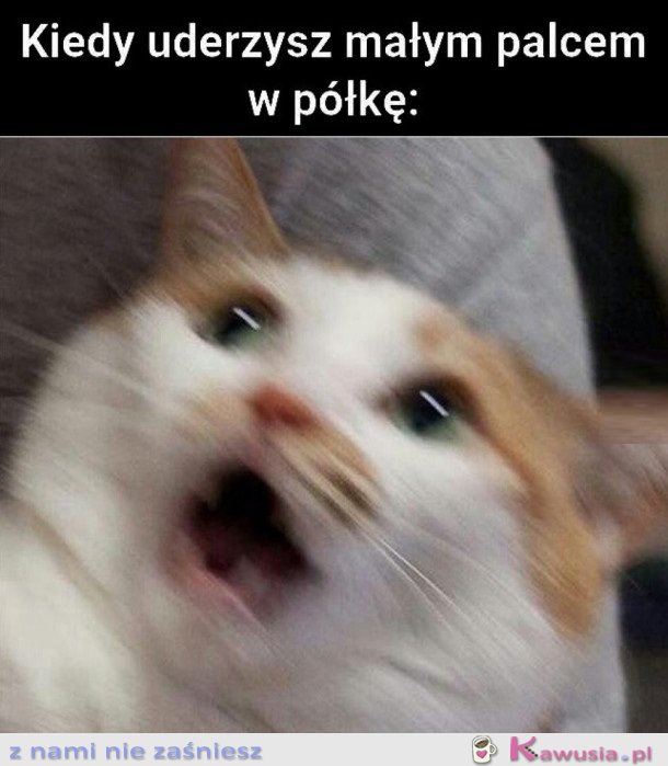 KIEDY UDERZYSZ MAŁYM PALCEM W PÓŁKĘ