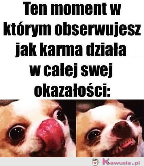 Zaczynamy zabawę...