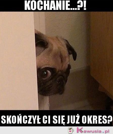 Kochanie skończył ci się już okres