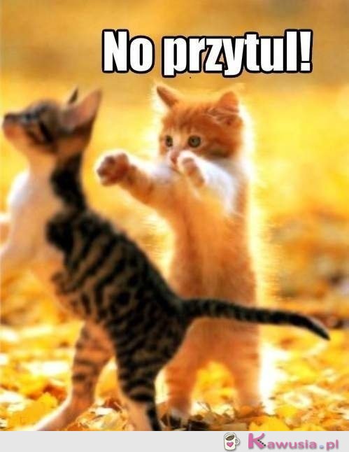 No przytul!