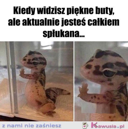 Już was nigdy nie zobaczę...