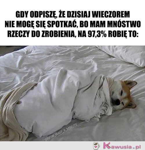 Nie wiem w co ręce włożyć...