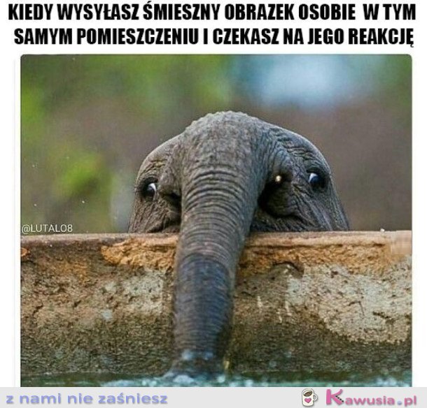 KIEDY WYSYŁASZ KOMUŚ ŚMIESZNY OBRAZEK