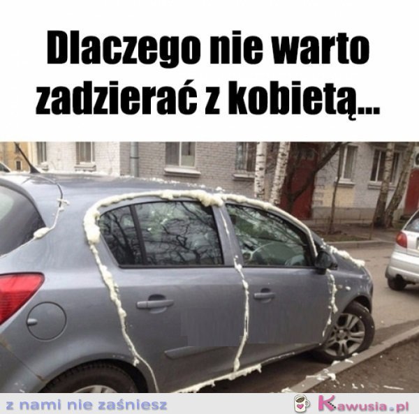 Pow&oacute;d nr 1...