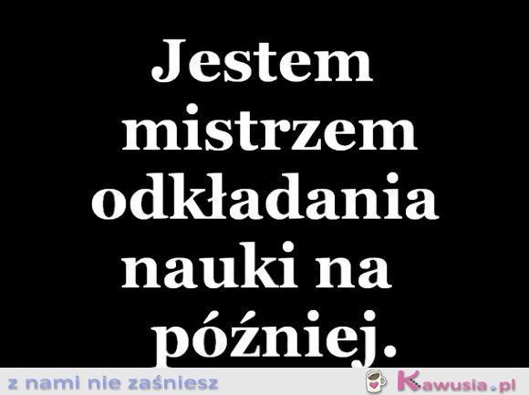 Jestem mistrzem 