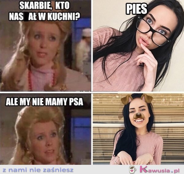 Pies  