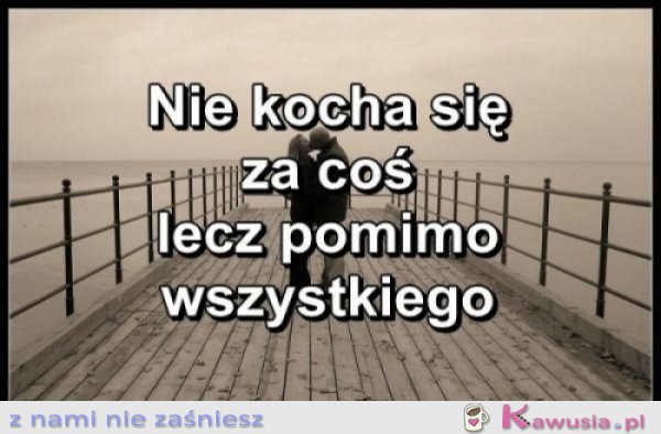 Nie kocha się za coś...