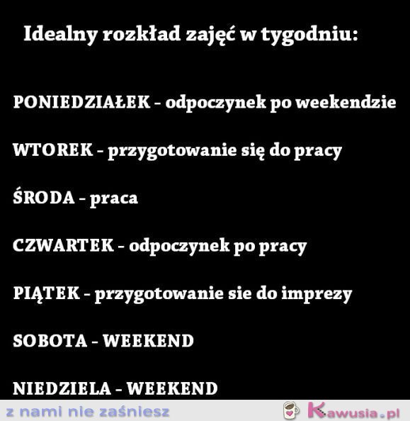 Rozkład zajęć