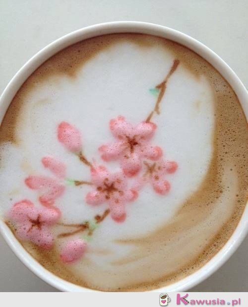 Kwiat wiśni na kawie