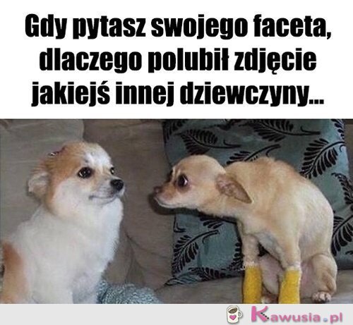 No pytam się..