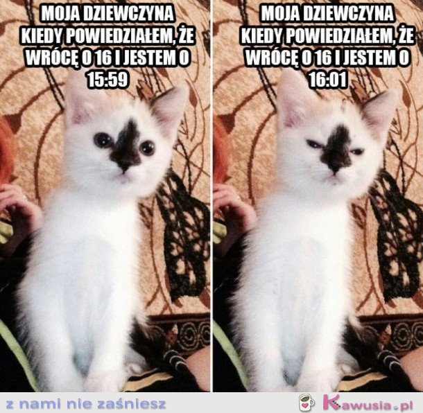 R&oacute;żne oblicza