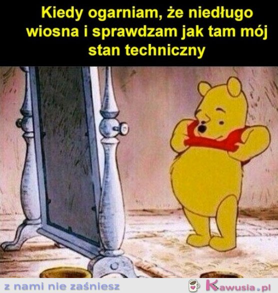 Kurcze wiosna za rogiem