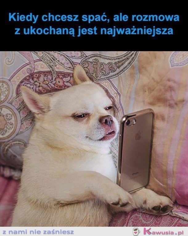 NIE MA ŻE BOLI