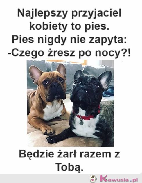 Najlepszy przyjaciel dziewczyny to pies