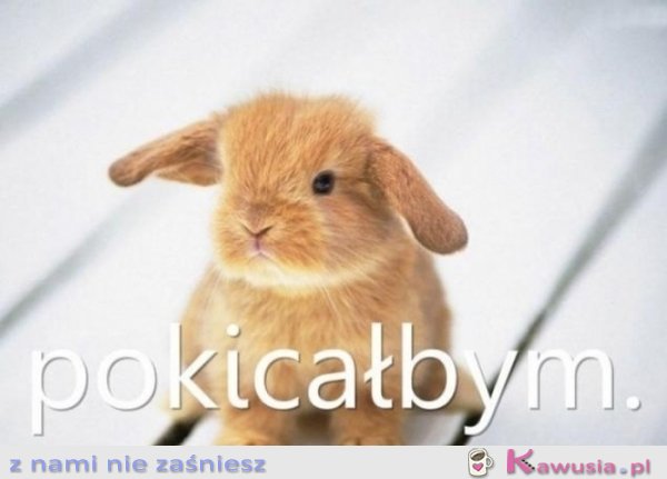 Pokicałbym