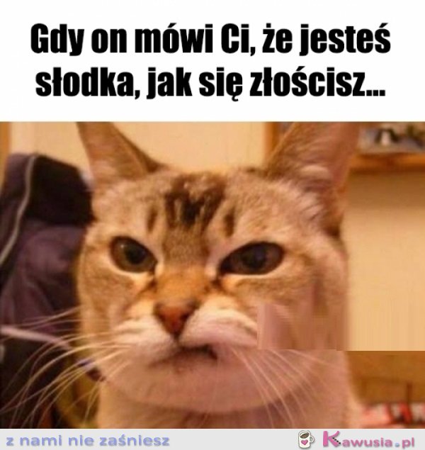 ŻE CO?