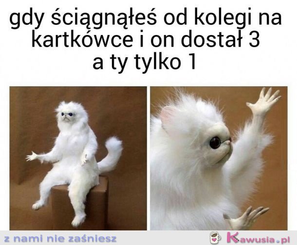 NIE OGARNIAM
