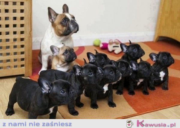 Słodko...