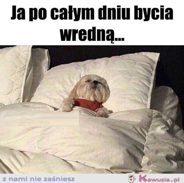 Nie żałuję niczego...