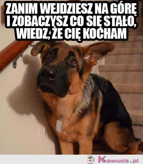 Zanim wejdziesz na górę