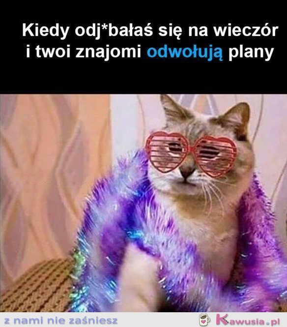 KONIEC ZNAJOMOŚCI