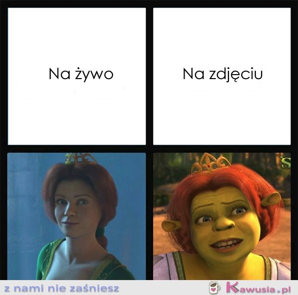 Na żywo, a na zdjęciu