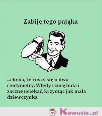 Zabiję tego pająka