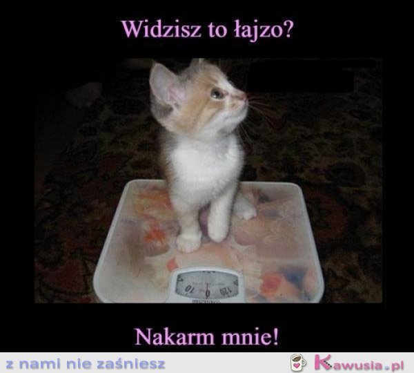 Nakarm mnie 