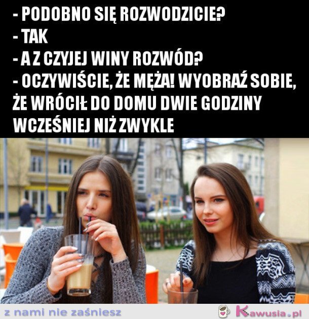 FACECI TO ŚWINIE