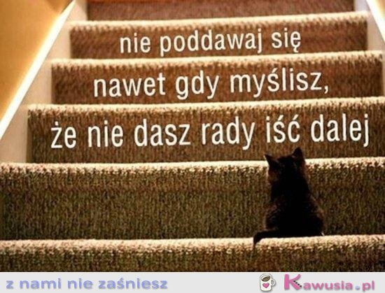 Nie poddawaj się