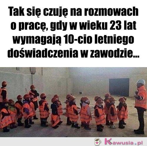 Dokładnie tak