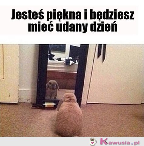 Jesteś piękna