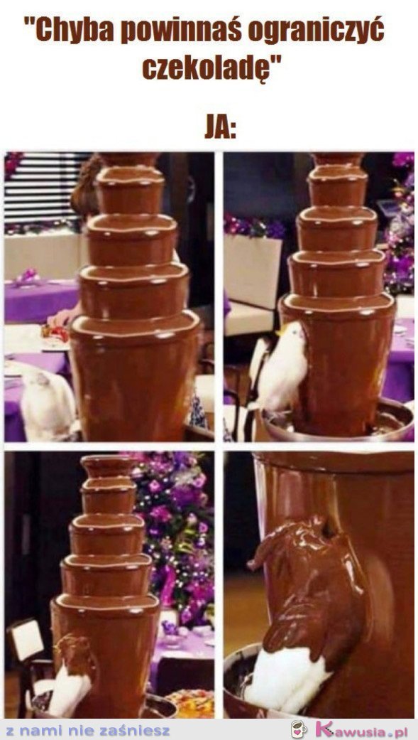 OGRANICZENIE JEDZENIA