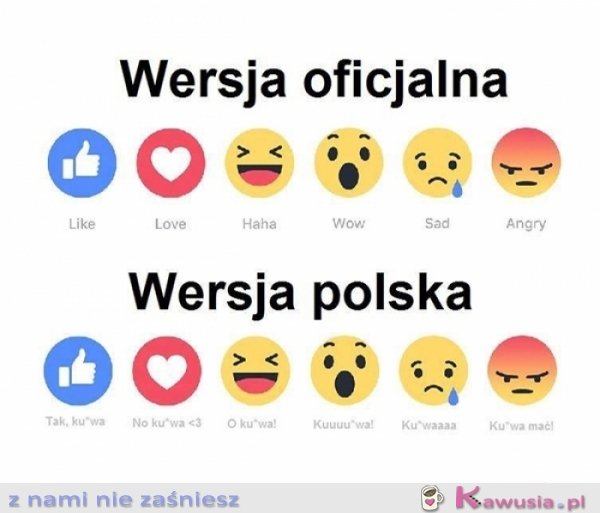 Polacy swój język mają...