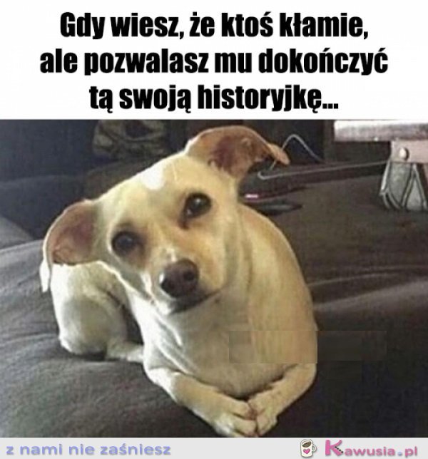 Słucham uważnie...