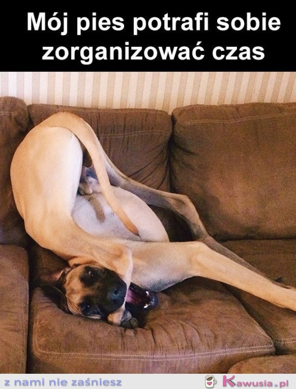 MUSZĘ SIĘ TEŻ NAUCZYĆ