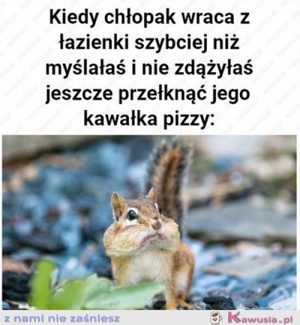 Kiedy twój chłopak jest za szybki