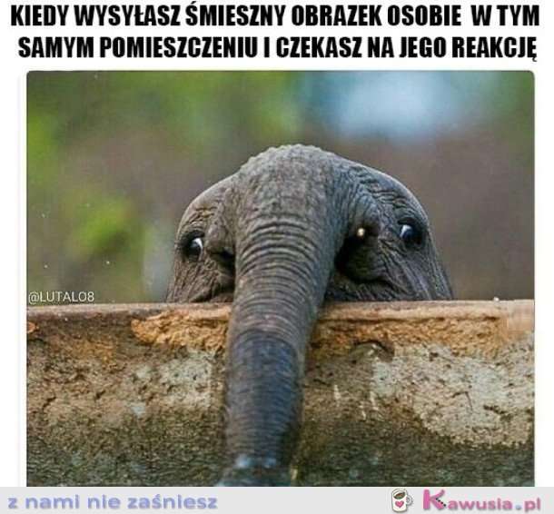 KIEDY WYSYŁASZ KOMUŚ ŚMIESZNY OBRAZEK