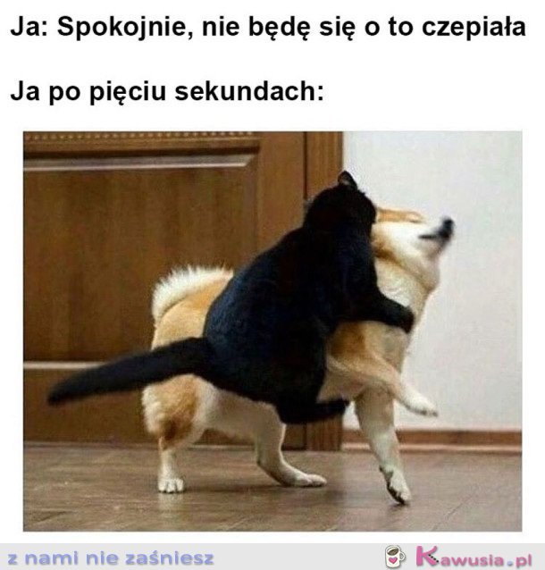 W OGÓLE SIĘ NIE CZEPIAM