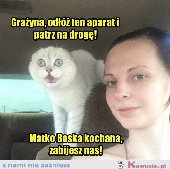 PATRZ NA DROGĘ!