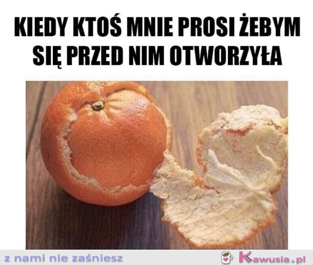 NIE MA TAKIEJ OPCJI
