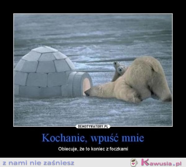 Kochanie wpuść mnie...